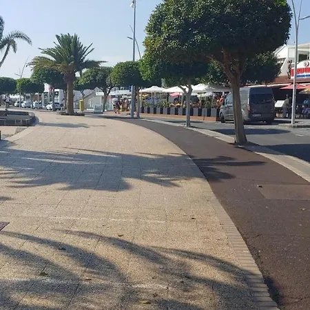 Arbustos 푸에르토 델 카르멘