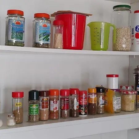 Arbustos * 푸에르토 델 카르멘